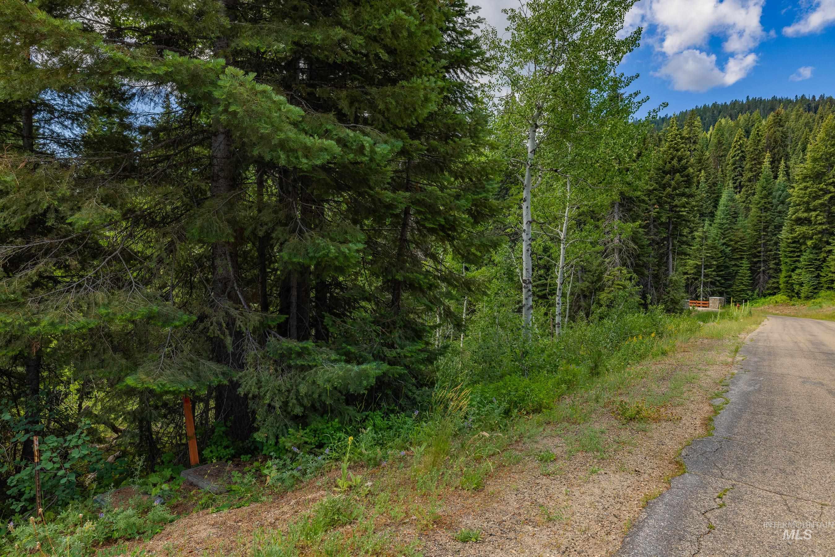 190 Pinnacle Place, Donnelly, Idaho 83615, Land For Sale, Price $499,000, 98955931