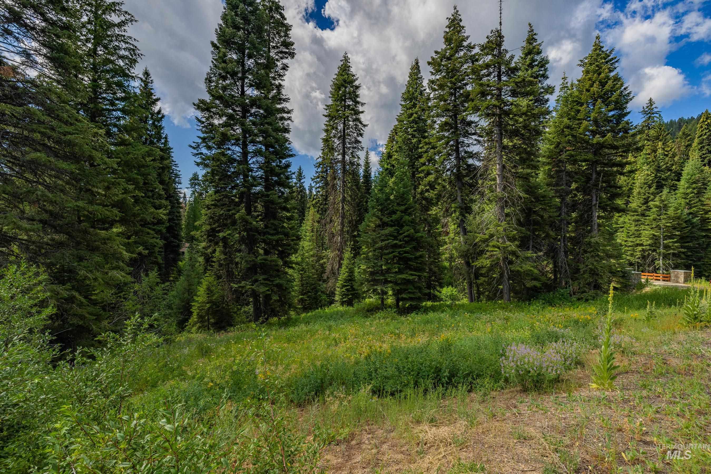 190 Pinnacle Place, Donnelly, Idaho 83615, Land For Sale, Price $499,000, 98955931