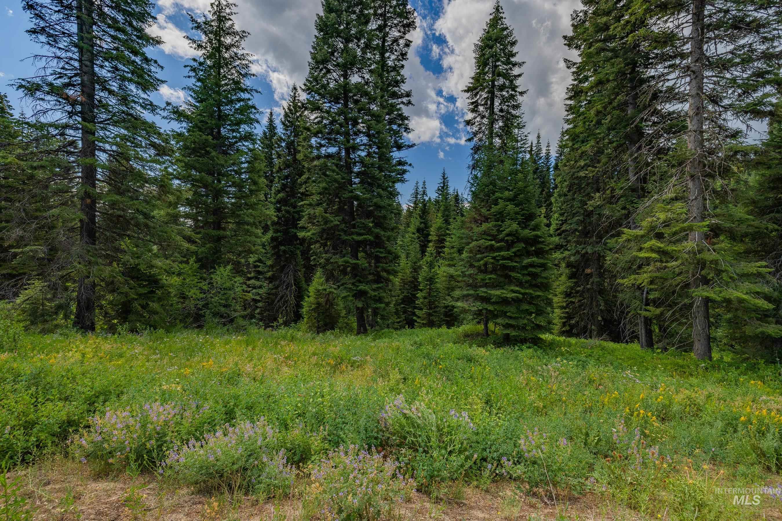 190 Pinnacle Place, Donnelly, Idaho 83615, Land For Sale, Price $499,000, 98955931