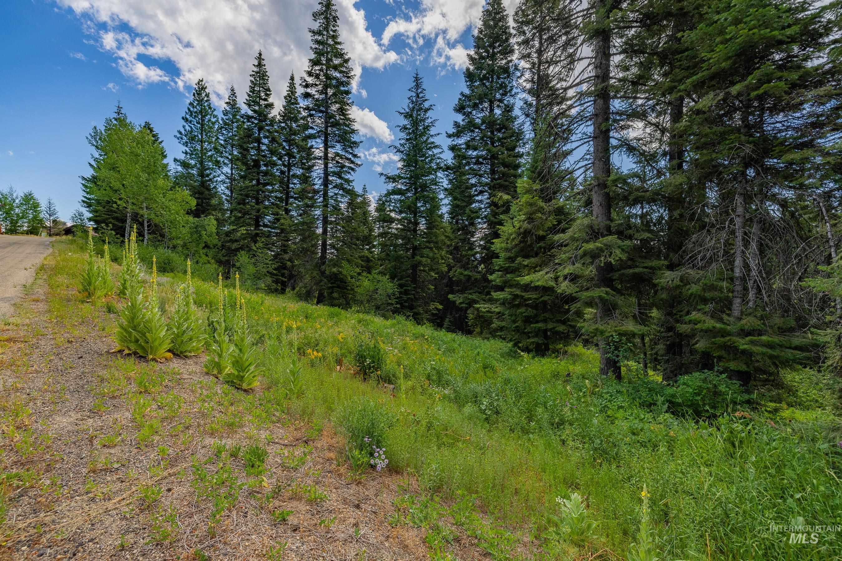 190 Pinnacle Place, Donnelly, Idaho 83615, Land For Sale, Price $499,000, 98955931