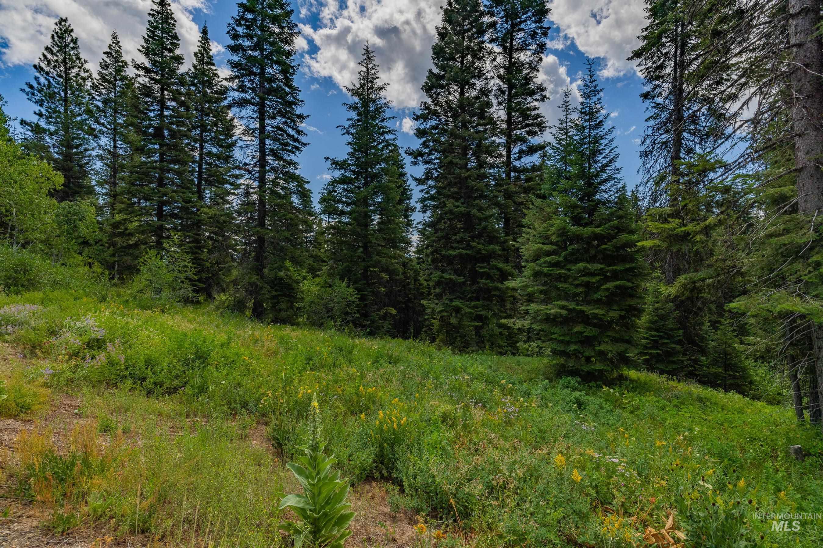 190 Pinnacle Place, Donnelly, Idaho 83615, Land For Sale, Price $499,000, 98955931