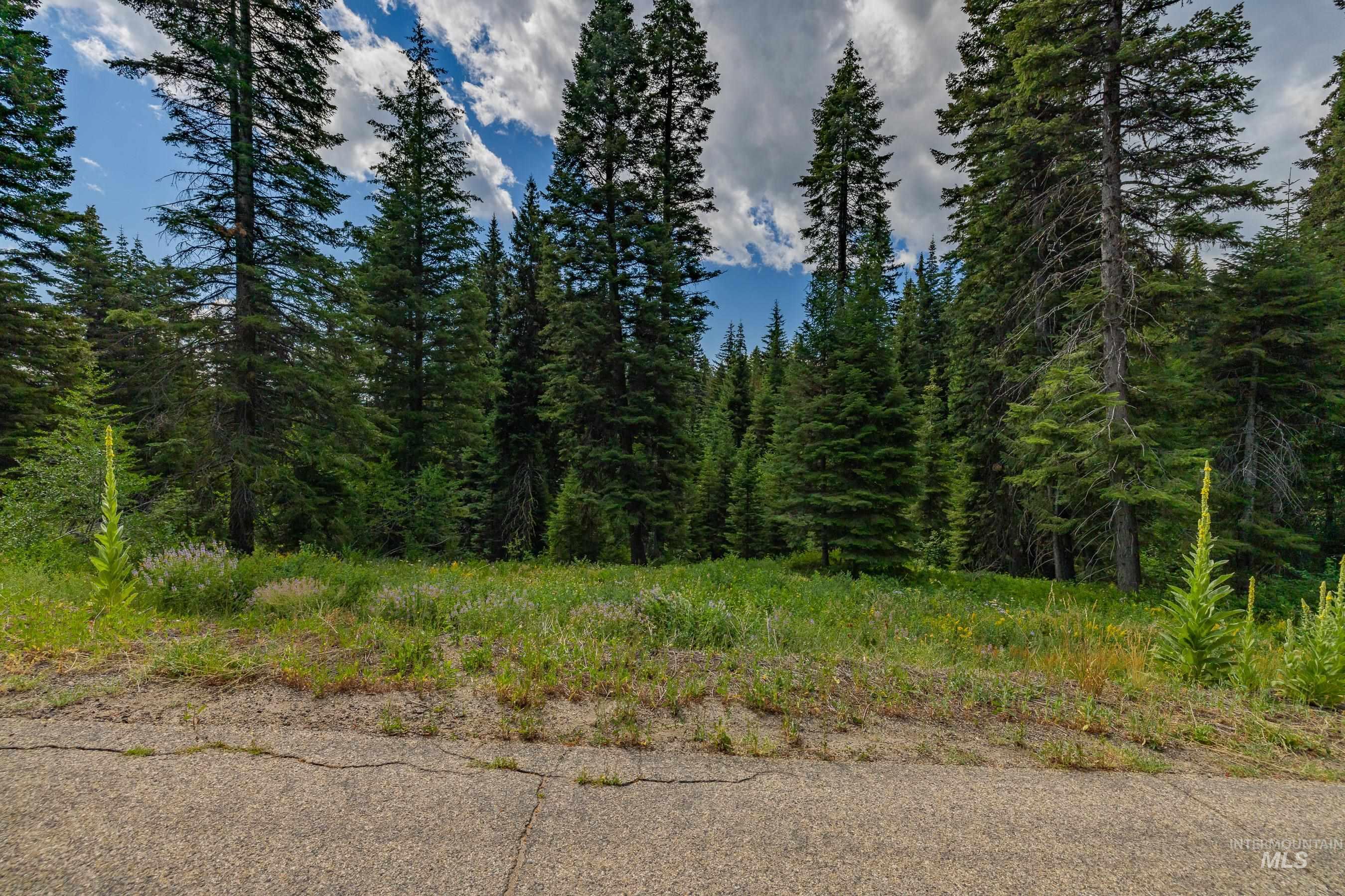 190 Pinnacle Place, Donnelly, Idaho 83615, Land For Sale, Price $499,000, 98955931