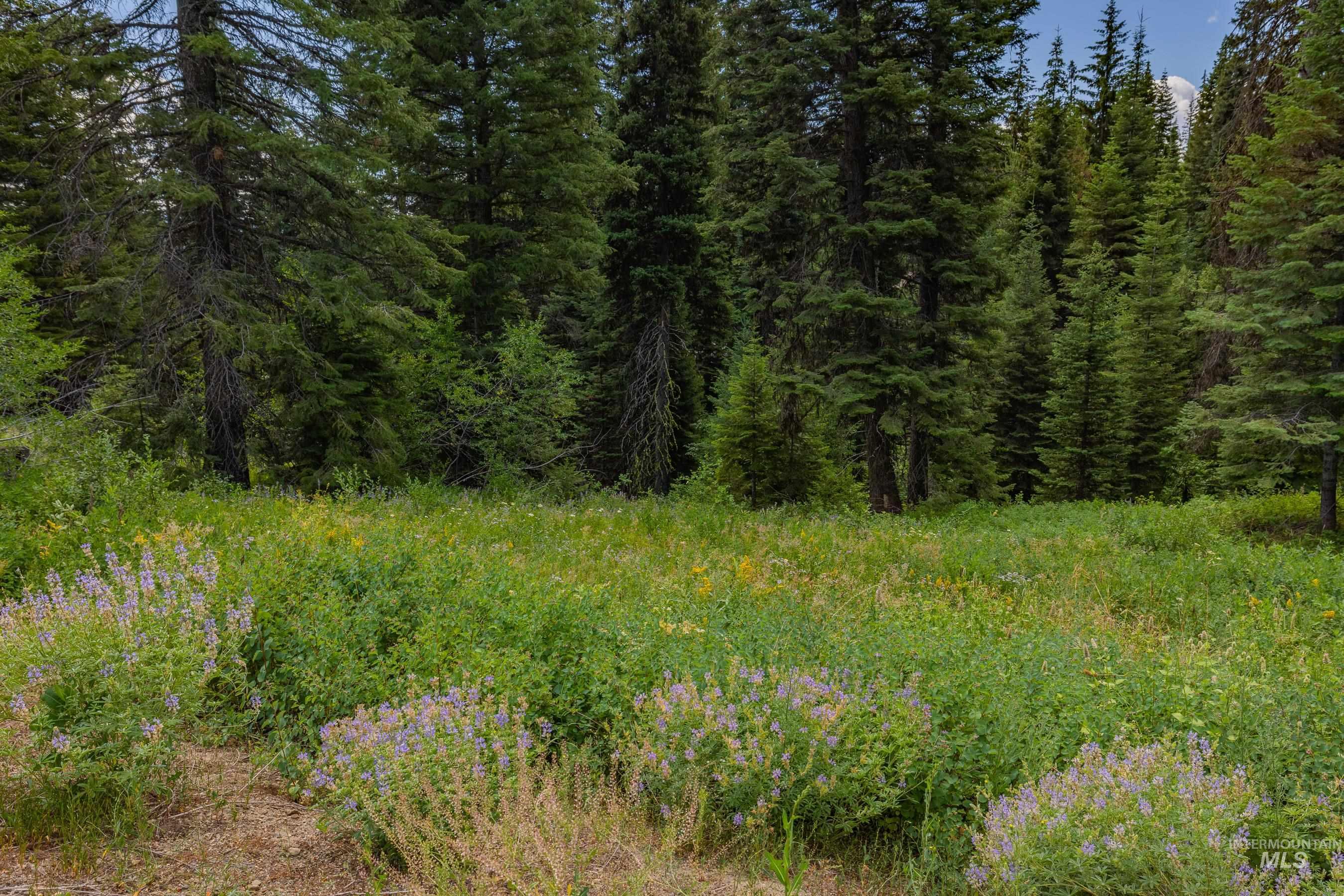 190 Pinnacle Place, Donnelly, Idaho 83615, Land For Sale, Price $499,000, 98955931