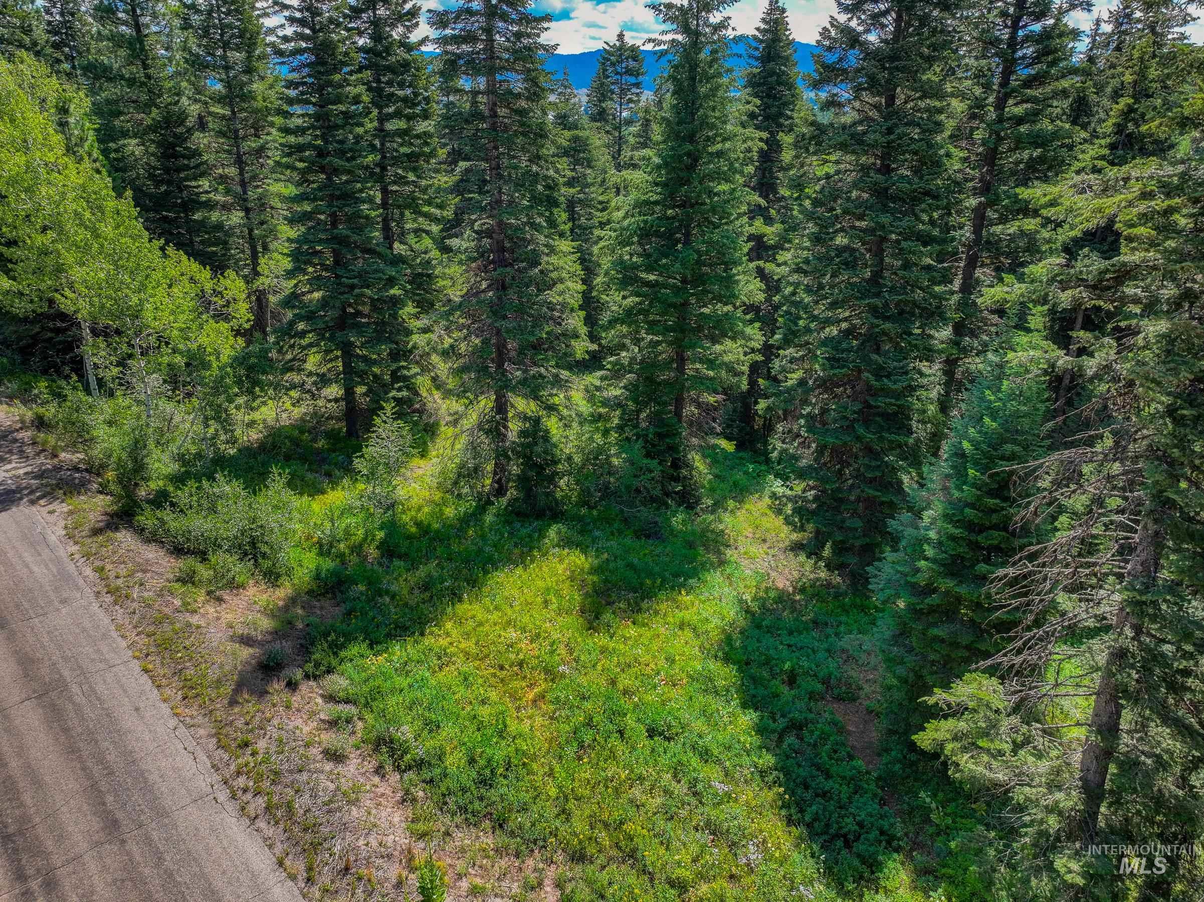 190 Pinnacle Place, Donnelly, Idaho 83615, Land For Sale, Price $499,000, 98955931