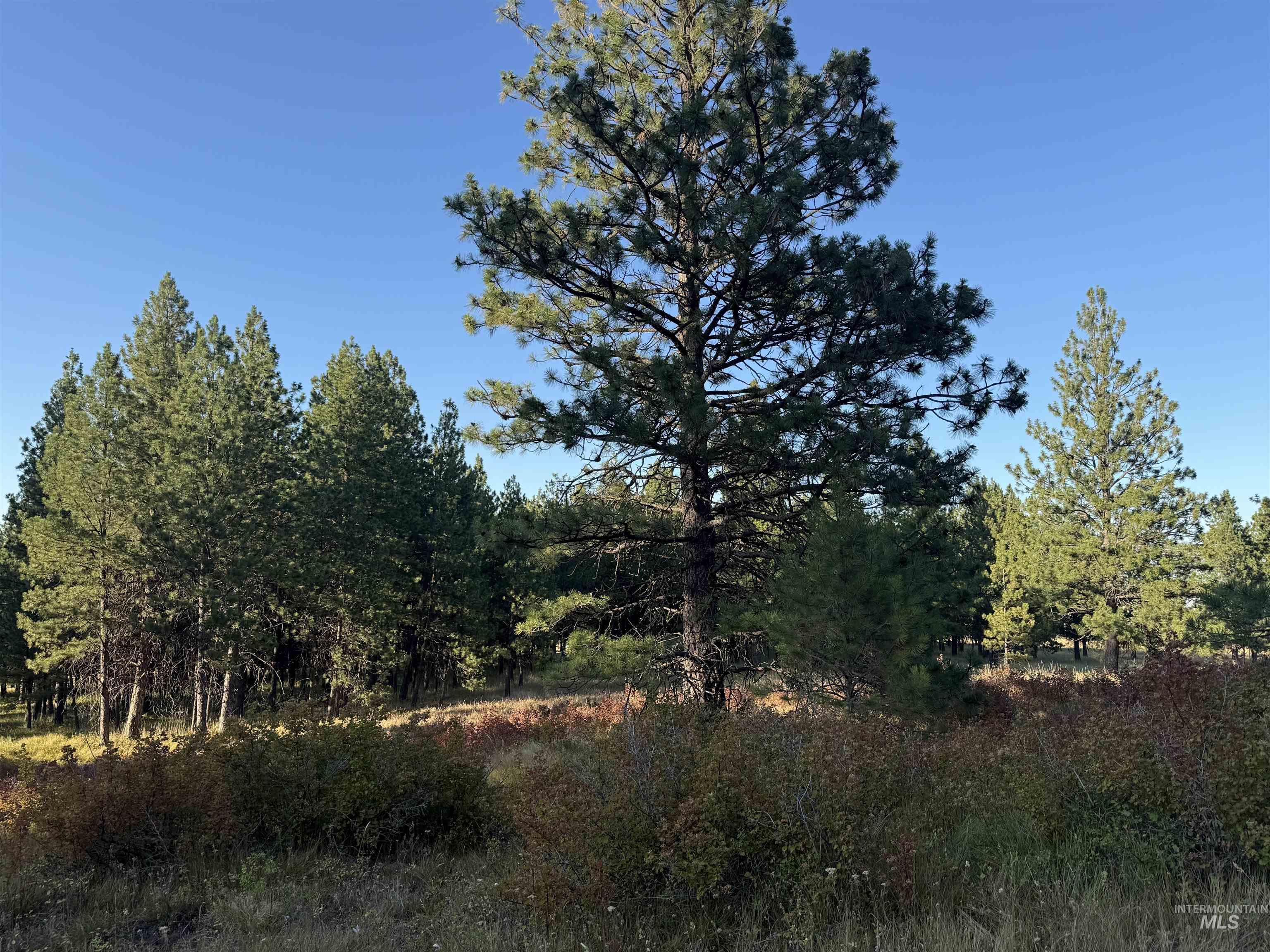 TBD Harlow Ridge Rd - Cloverland Estates 26, Asotin, Washington 99402, Land For Sale, Price $105,000, 98955996
