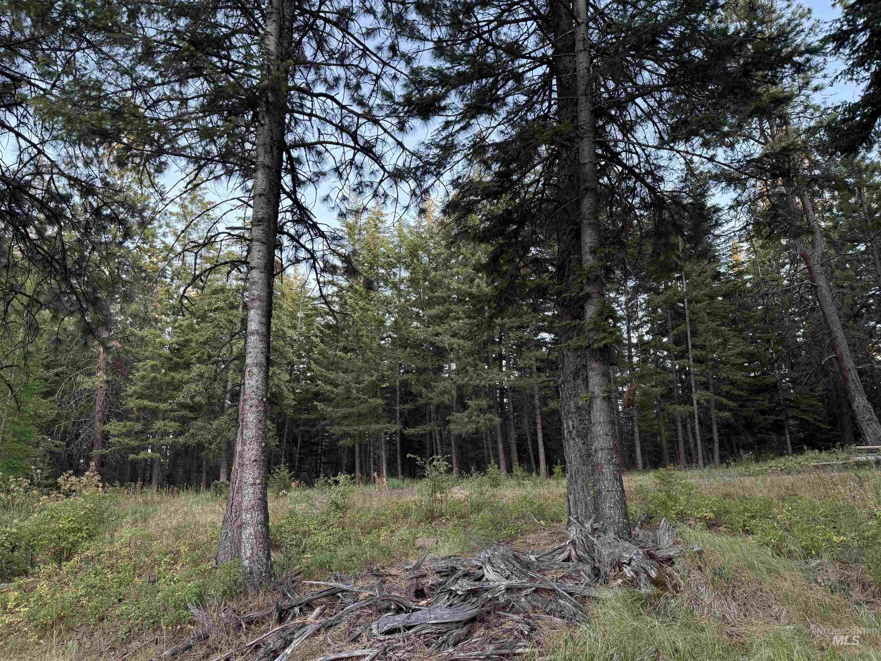 TBD Harlow Ridge Rd - Cloverland Estates 26, Asotin, Washington 99402, Land For Sale, Price $105,000, 98955996