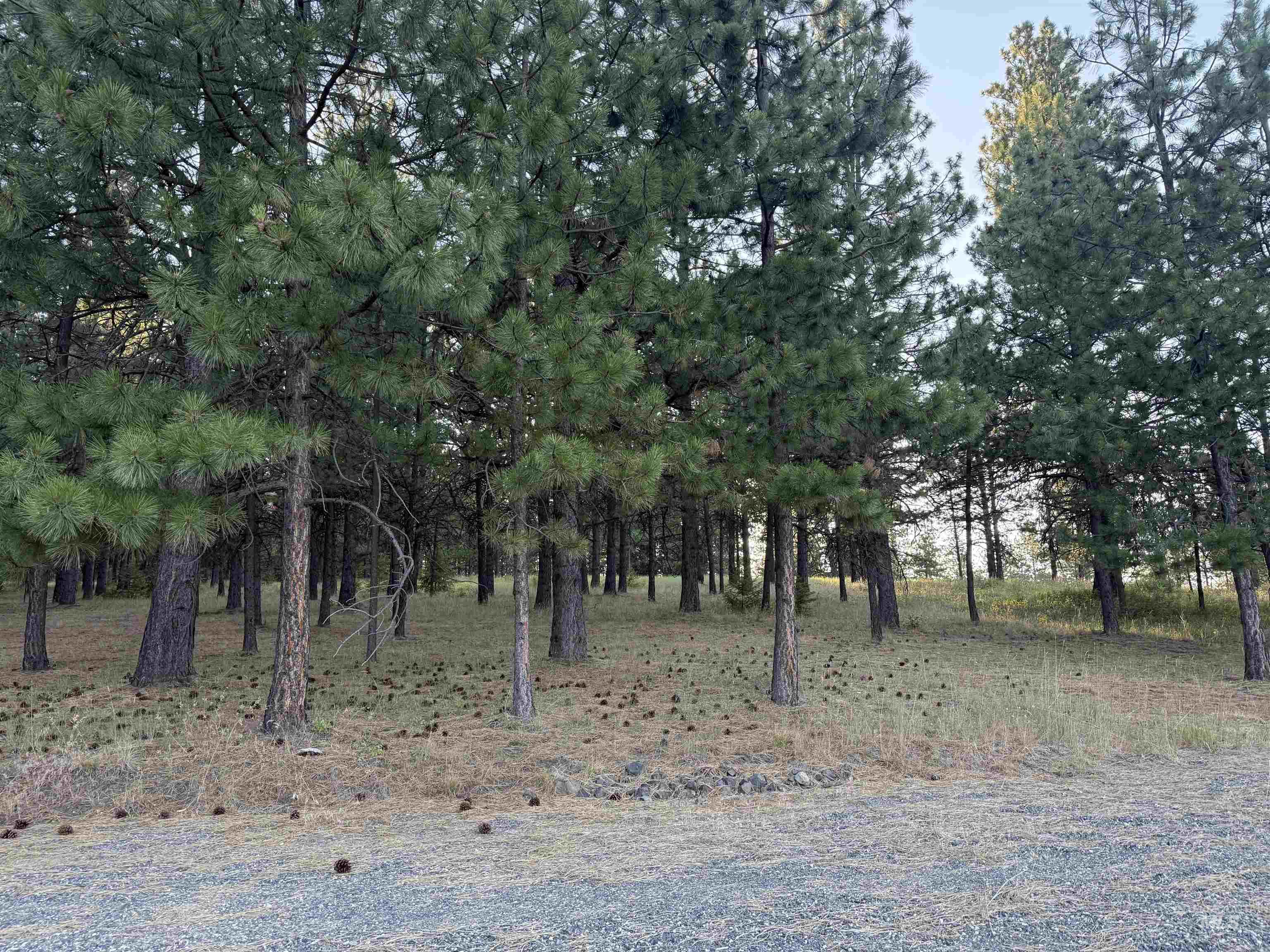 TBD Harlow Ridge Rd - Cloverland Estates 26, Asotin, Washington 99402, Land For Sale, Price $105,000, 98955996