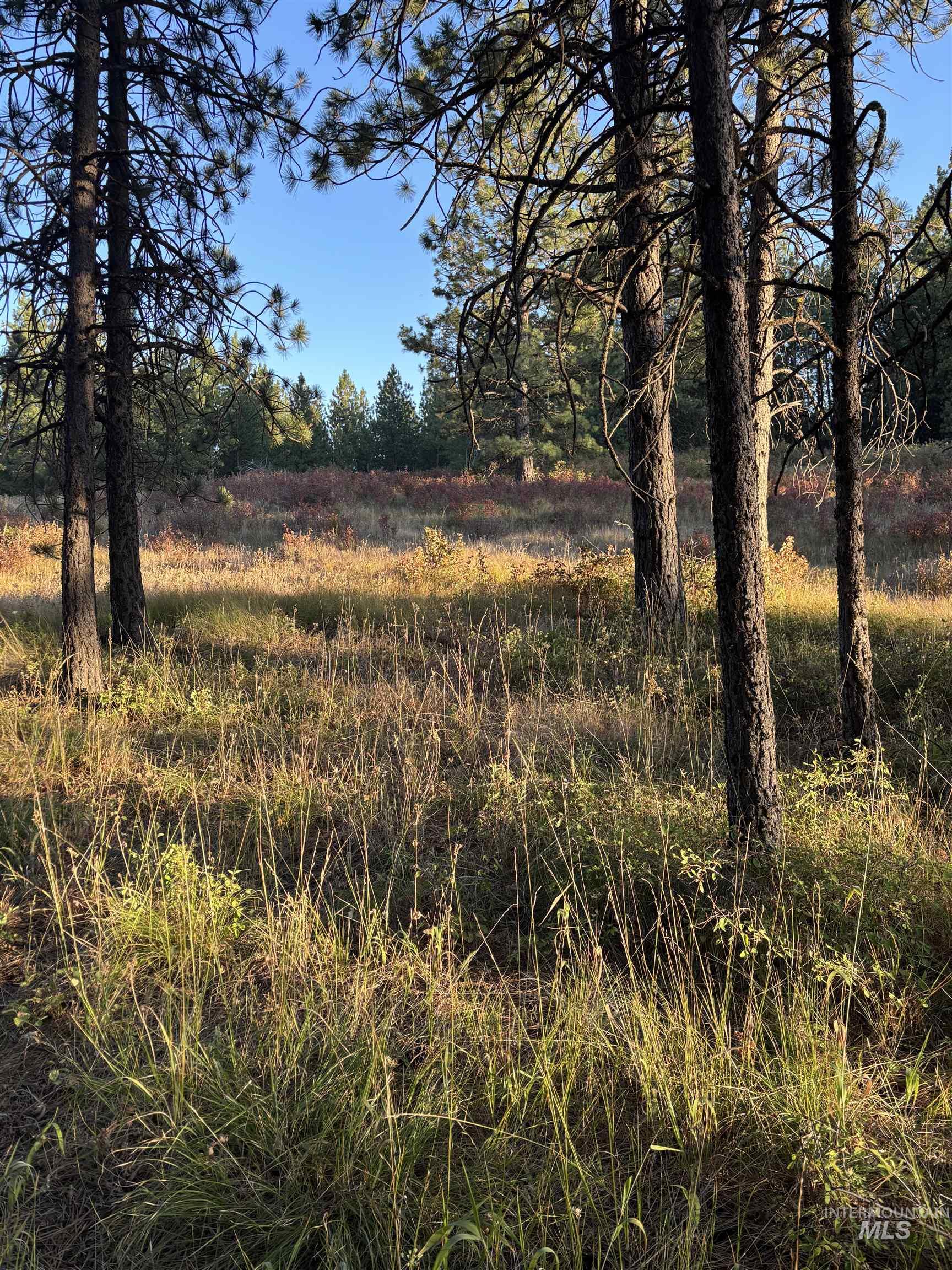 TBD Harlow Ridge Rd - Cloverland Estates 26, Asotin, Washington 99402, Land For Sale, Price $105,000, 98955996