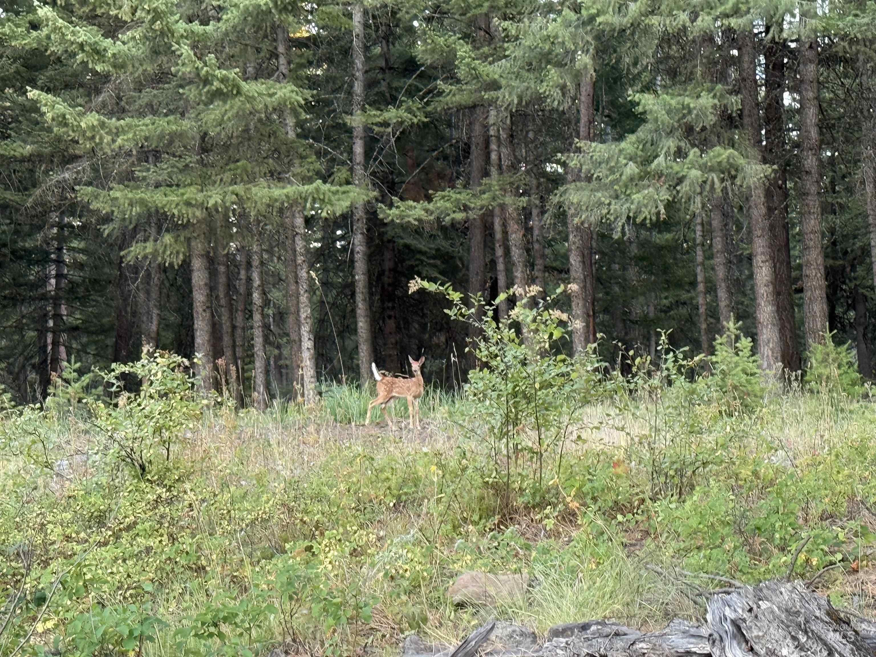 TBD Harlow Ridge Rd - Cloverland Estates 26, Asotin, Washington 99402, Land For Sale, Price $105,000, 98955996