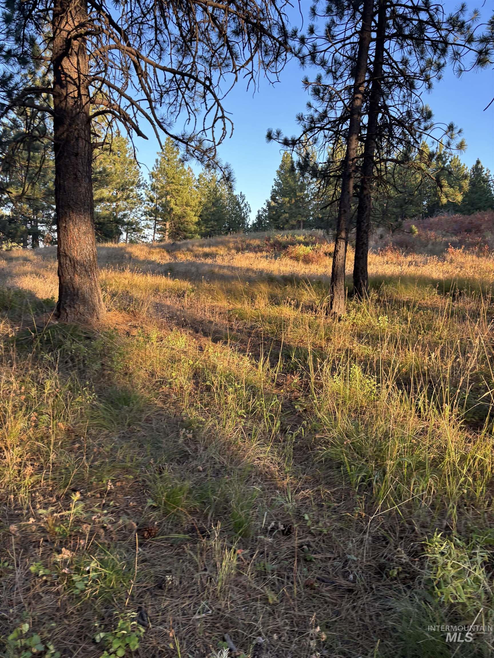 TBD Harlow Ridge Rd - Cloverland Estates 26, Asotin, Washington 99402, Land For Sale, Price $105,000, 98955996