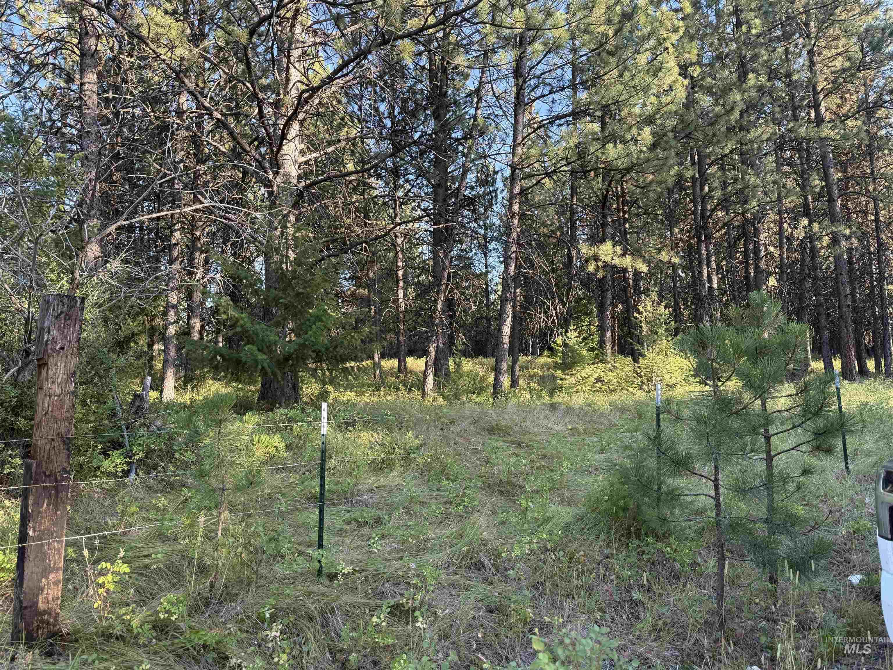 TBD Harlow Ridge Rd - Cloverland Estates 26, Asotin, Washington 99402, Land For Sale, Price $105,000, 98955996