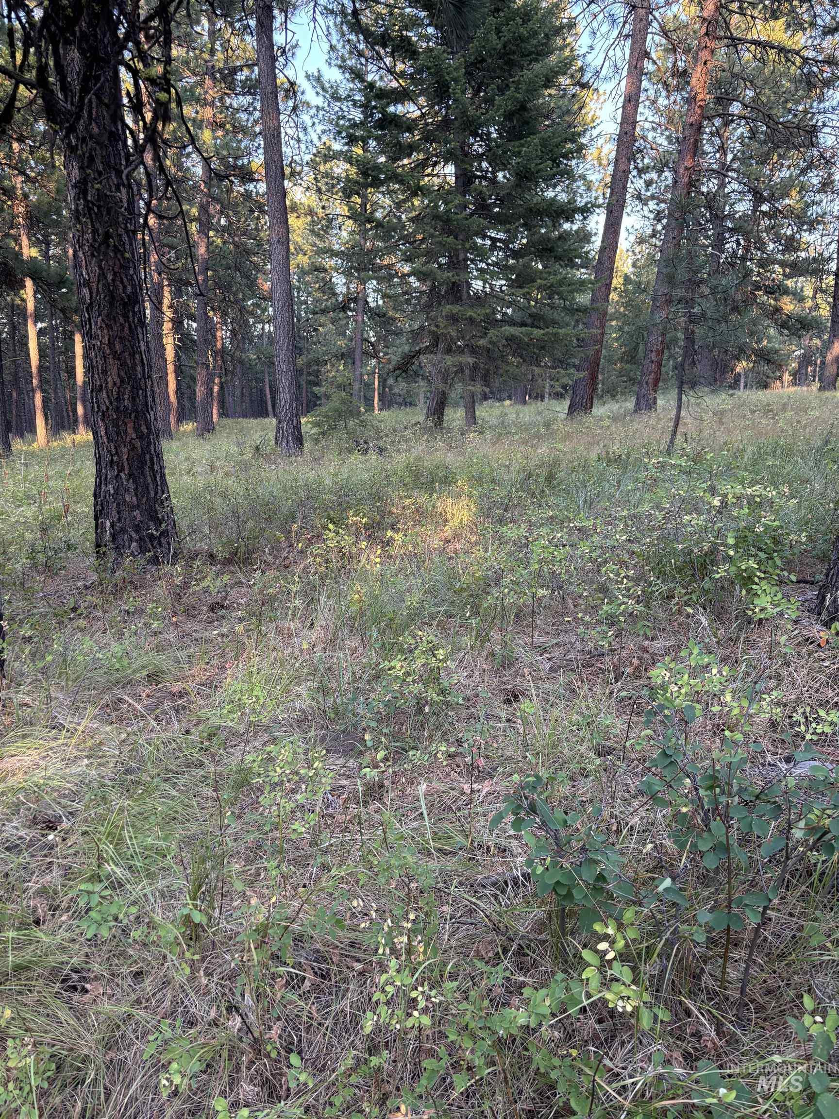 TBD Harlow Ridge Rd - Cloverland Estates 26, Asotin, Washington 99402, Land For Sale, Price $105,000, 98955996