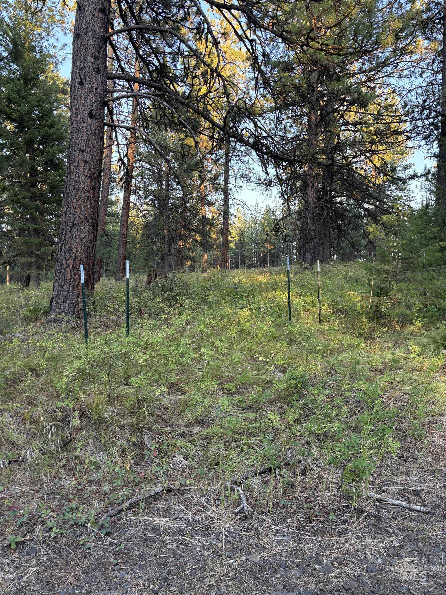 TBD Harlow Ridge Rd - Cloverland Estates 26, Asotin, Washington 99402, Land For Sale, Price $105,000, 98955996