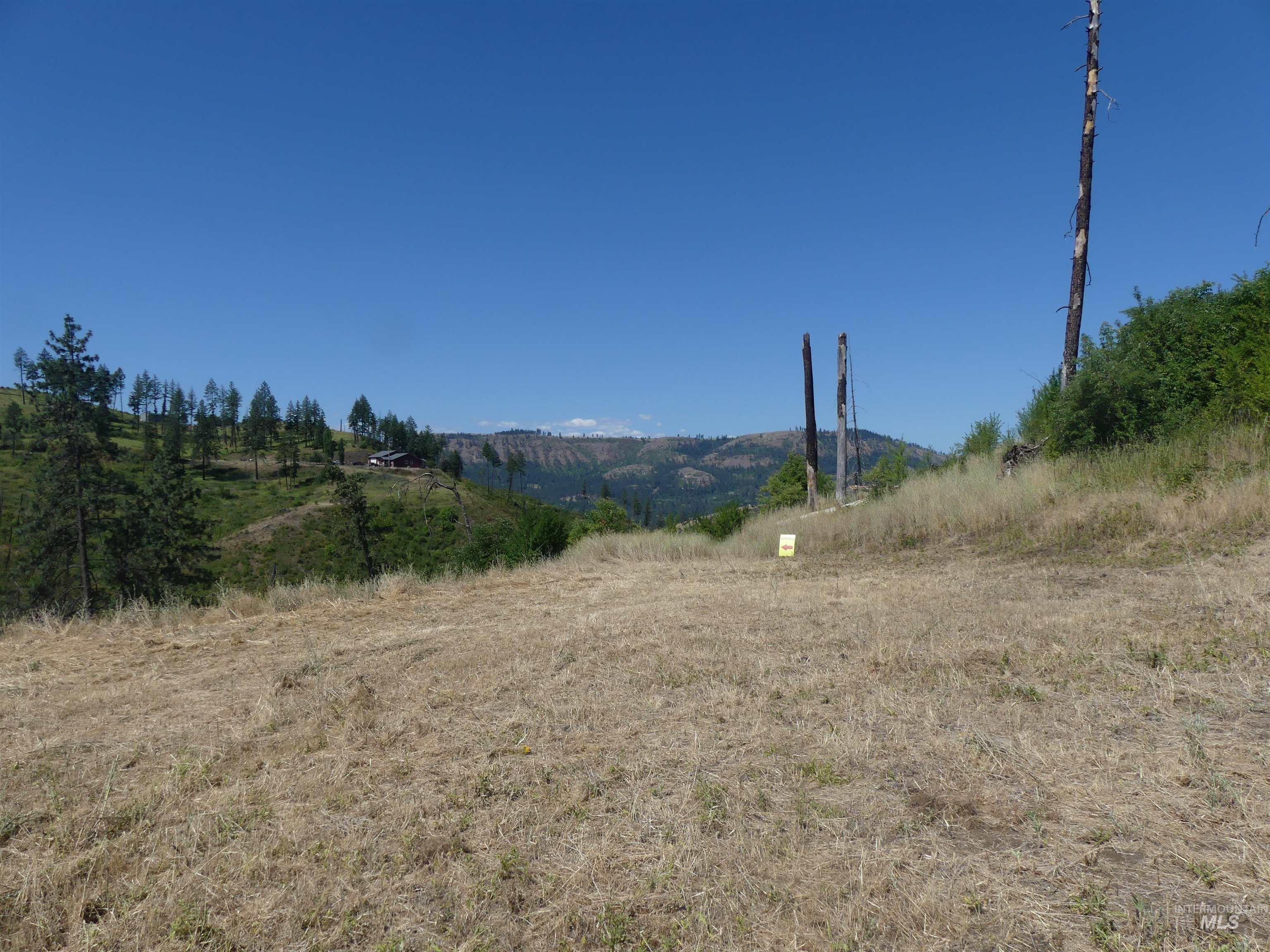 379 Glenwood Road, Kamiah, Idaho 83536, Land For Sale, Price $130,000,MLS 98956005