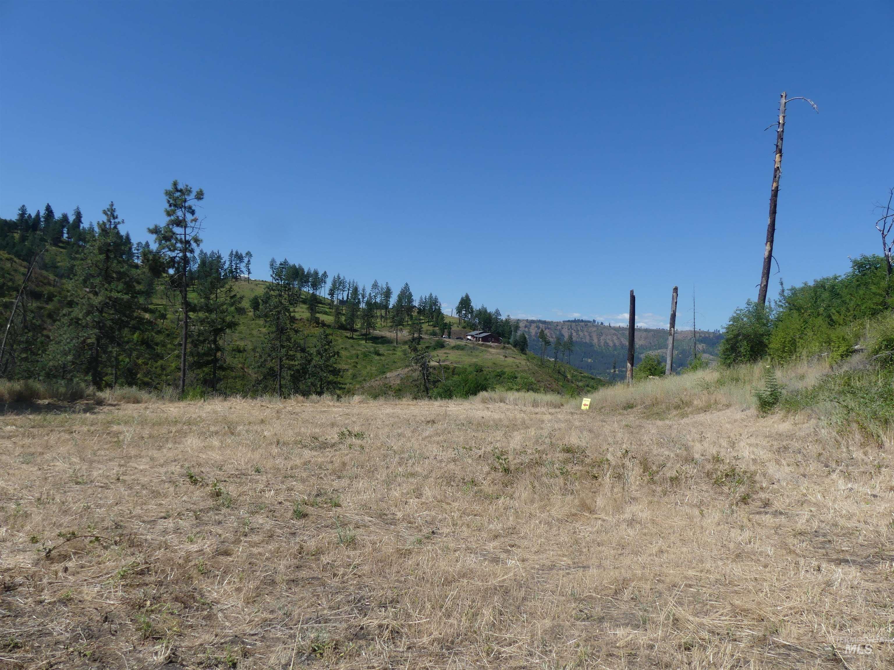 355 Glenwood Road, Kamiah, Idaho 83536, Land For Sale, Price $130,000, 98956005