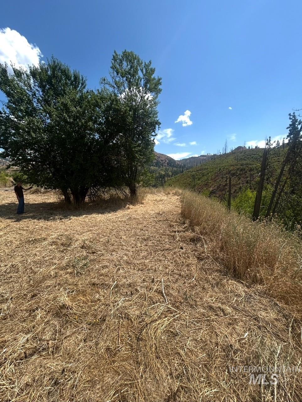 379 Glenwood Road, Kamiah, Idaho 83536, Land For Sale, Price $130,000,MLS 98956005