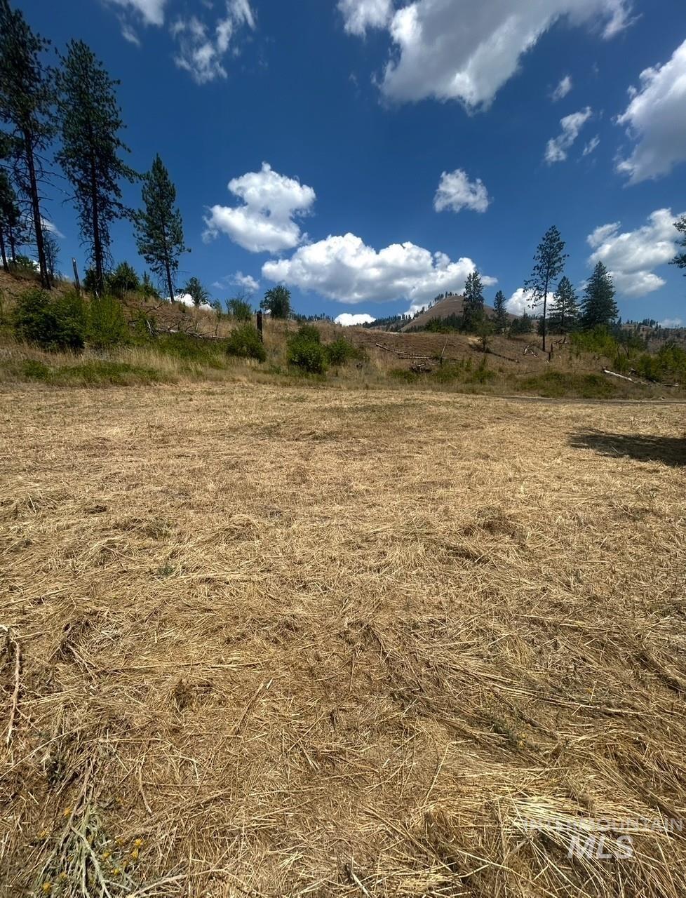 379 Glenwood Road, Kamiah, Idaho 83536, Land For Sale, Price $130,000,MLS 98956005