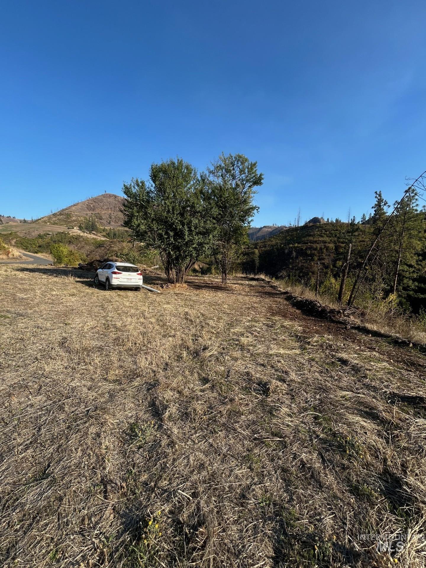 379 Glenwood Road, Kamiah, Idaho 83536, Land For Sale, Price $130,000,MLS 98956005