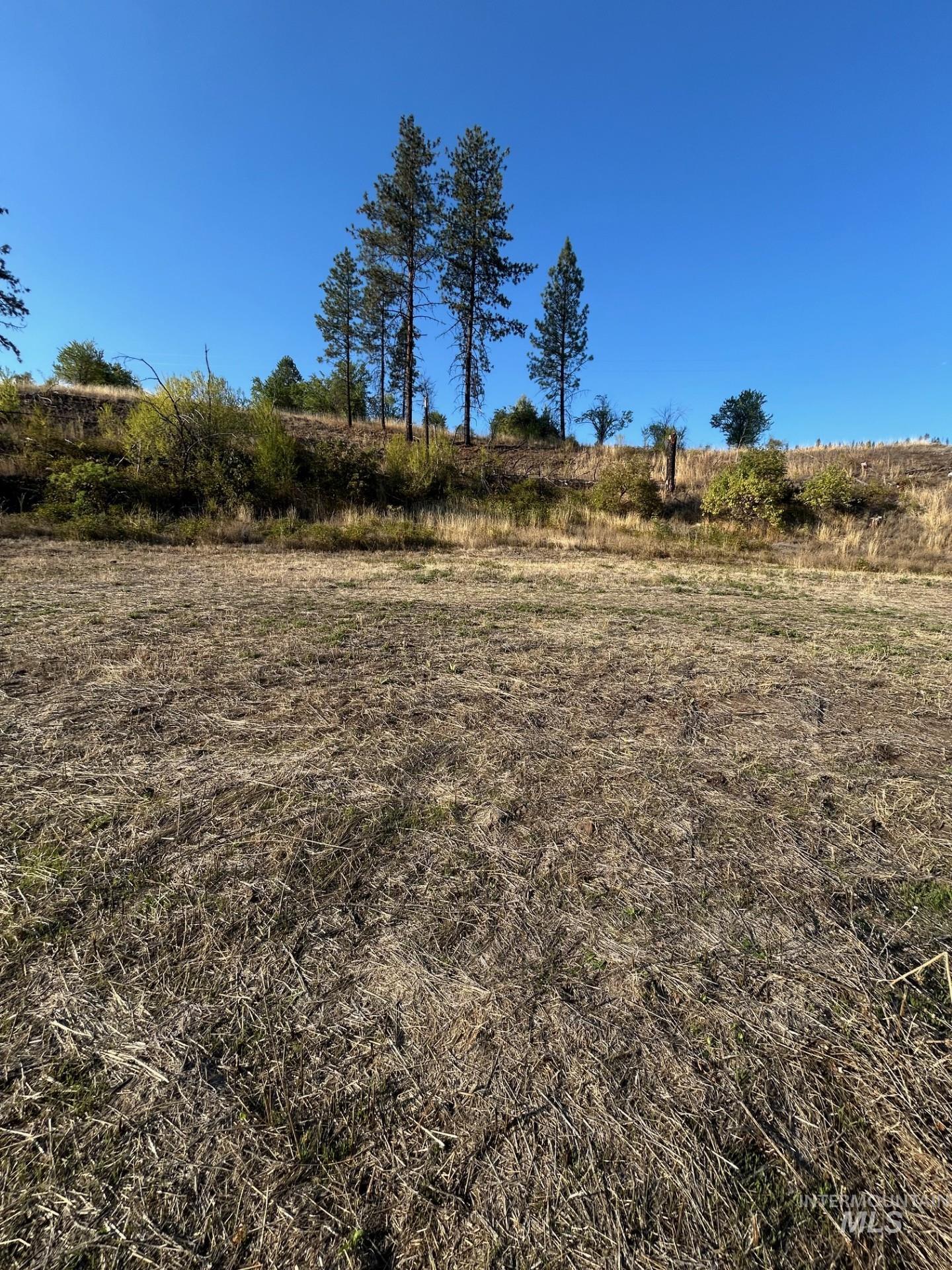 379 Glenwood Road, Kamiah, Idaho 83536, Land For Sale, Price $130,000,MLS 98956005