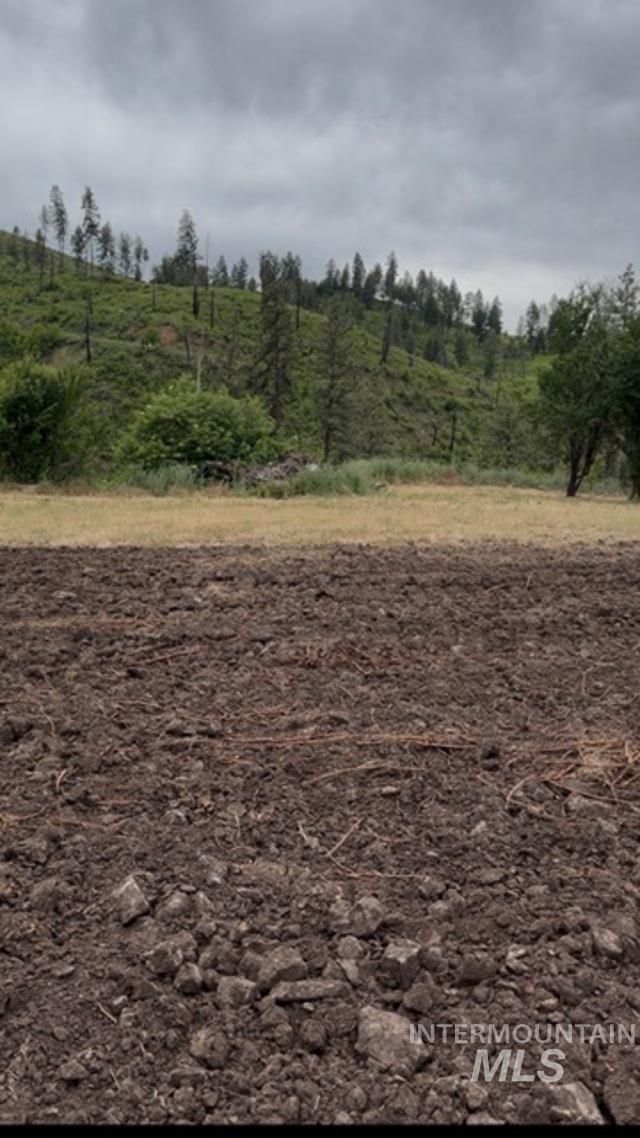 355 Glenwood Road, Kamiah, Idaho 83536, Land For Sale, Price $130,000, 98956005
