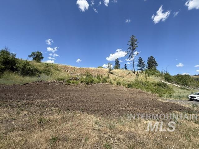 355 Glenwood Road, Kamiah, Idaho 83536, Land For Sale, Price $127,500,MLS 98956005