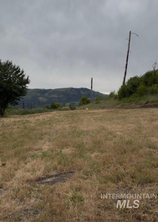 355 Glenwood Road, Kamiah, Idaho 83536, Land For Sale, Price $130,000, 98956005