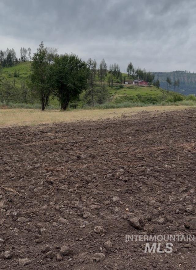 355 Glenwood Road, Kamiah, Idaho 83536, Land For Sale, Price $130,000, 98956005