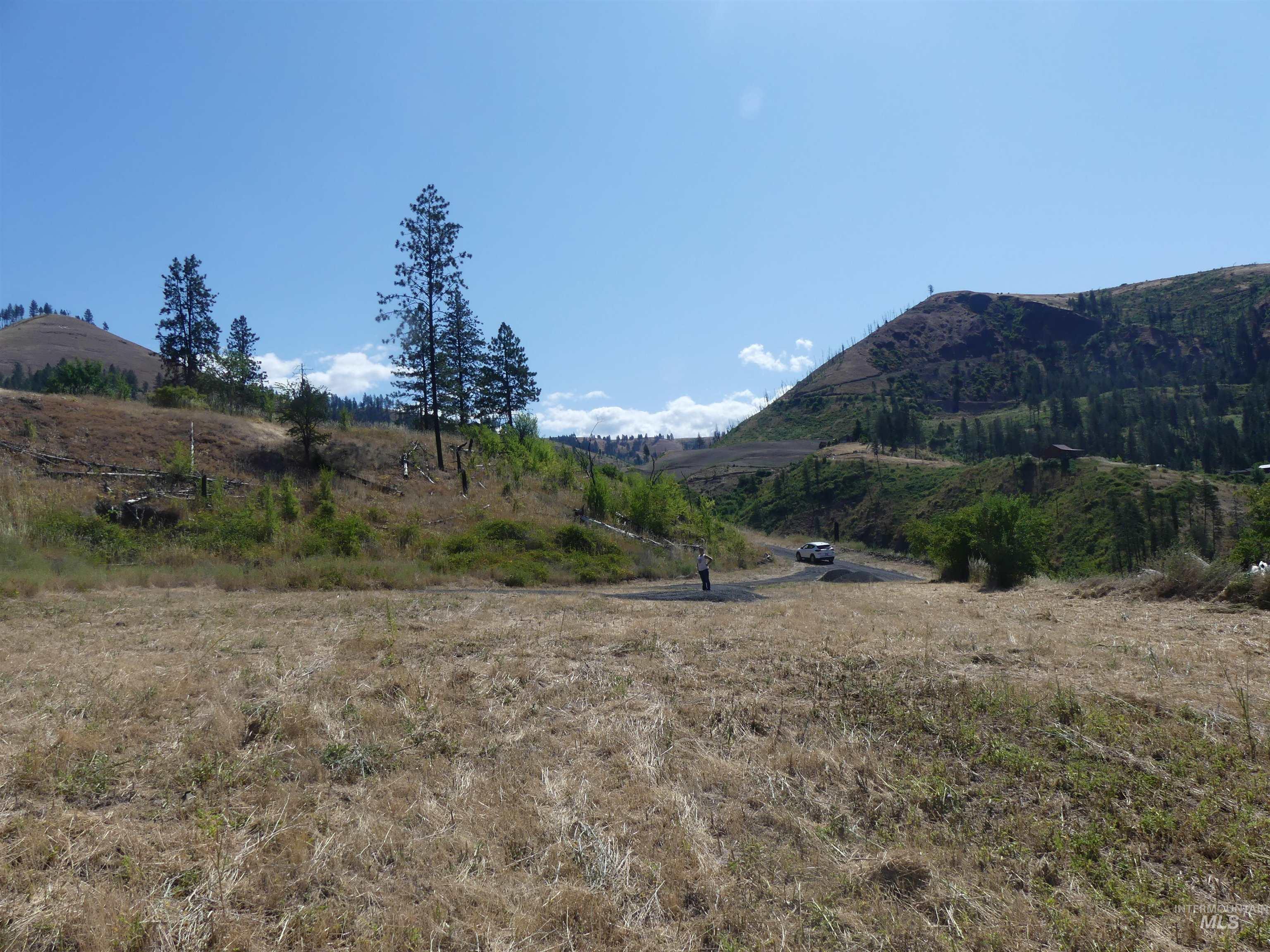 355 Glenwood Road, Kamiah, Idaho 83536, Land For Sale, Price $130,000, 98956005