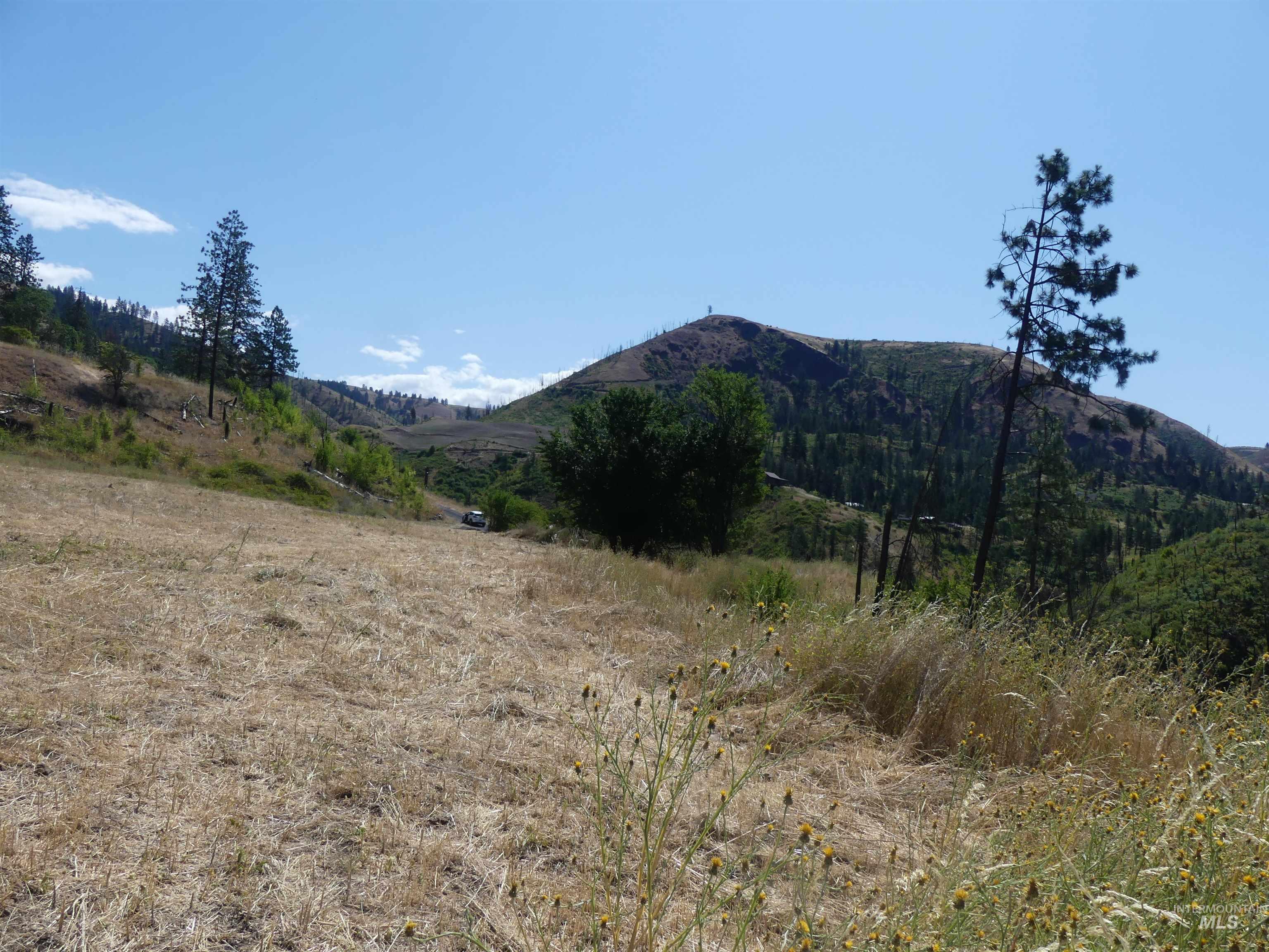 379 Glenwood Road, Kamiah, Idaho 83536, Land For Sale, Price $130,000,MLS 98956005