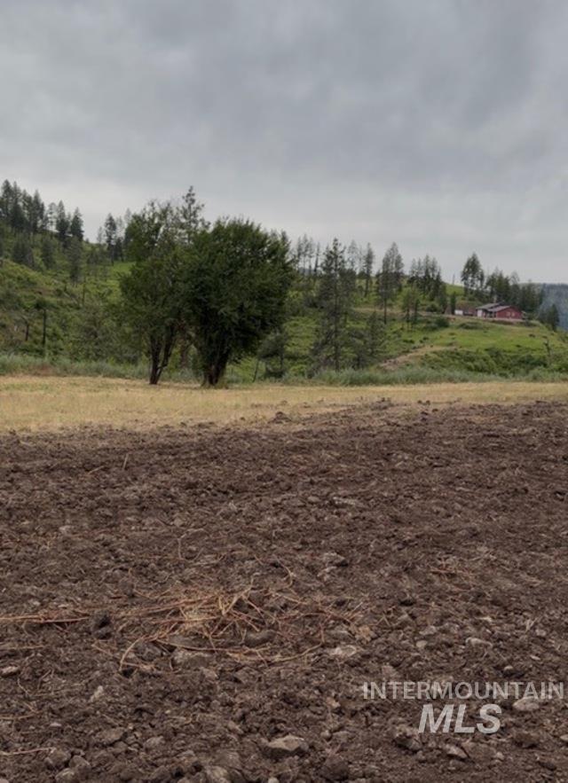 355 Glenwood Road, Kamiah, Idaho 83536, Land For Sale, Price $130,000, 98956005