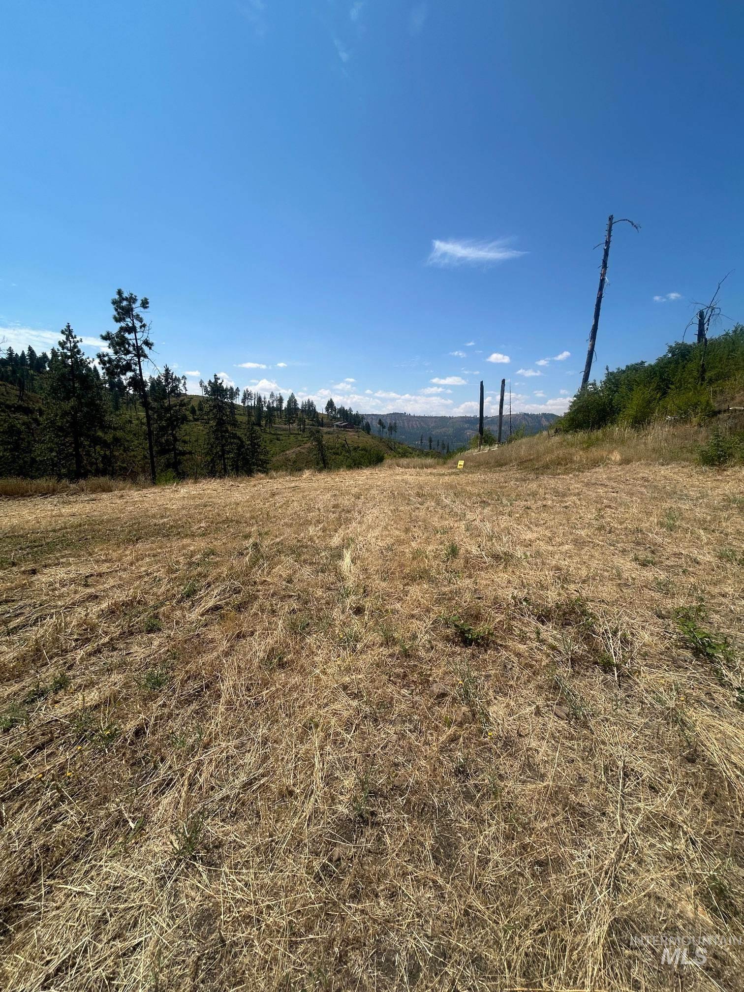 355 Glenwood Road, Kamiah, Idaho 83536, Land For Sale, Price $130,000, 98956005