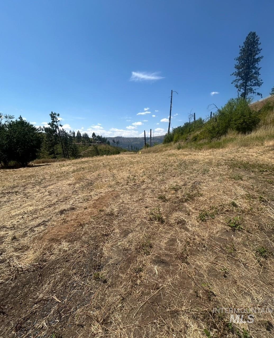 379 Glenwood Road, Kamiah, Idaho 83536, Land For Sale, Price $130,000,MLS 98956005
