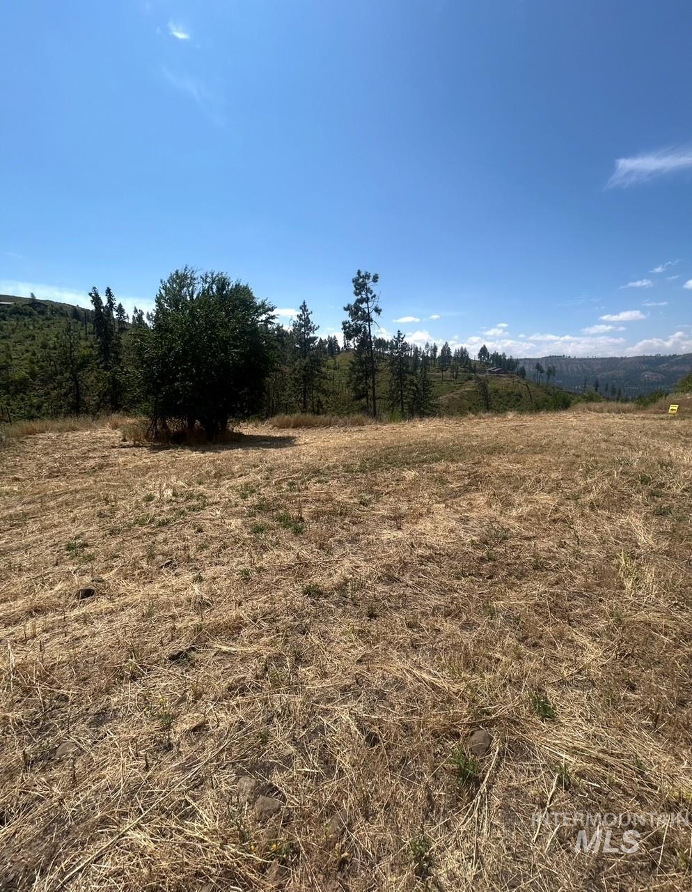 379 Glenwood Road, Kamiah, Idaho 83536, Land For Sale, Price $130,000,MLS 98956005
