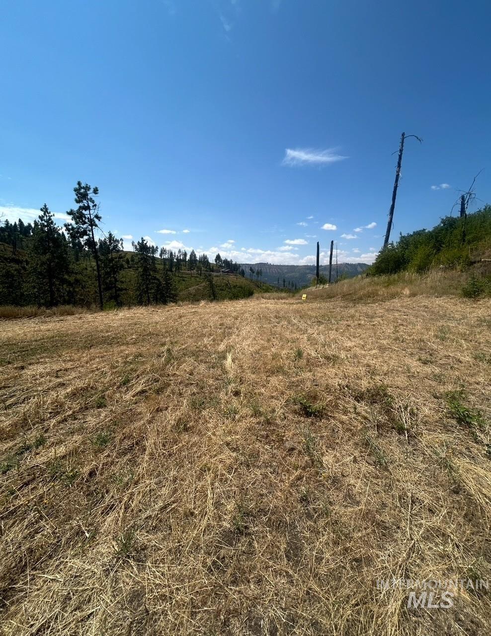 379 Glenwood Road, Kamiah, Idaho 83536, Land For Sale, Price $130,000,MLS 98956005