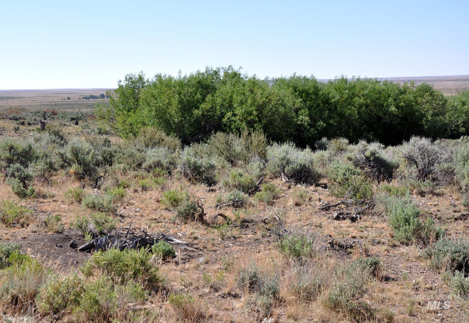 TBD Mud Flat Road, Grand View, Idaho 83624, Land For Sale, Price $599,000, 98956233