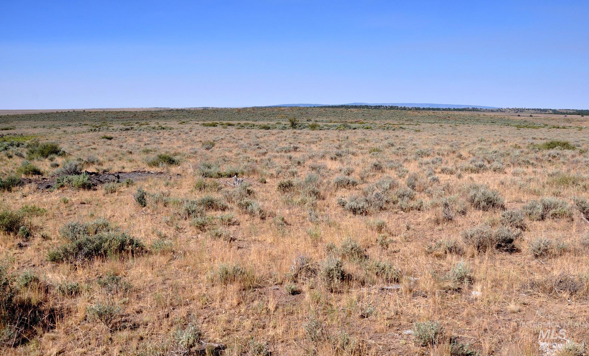 TBD Mud Flat Road, Grand View, Idaho 83624, Land For Sale, Price $599,000, 98956233