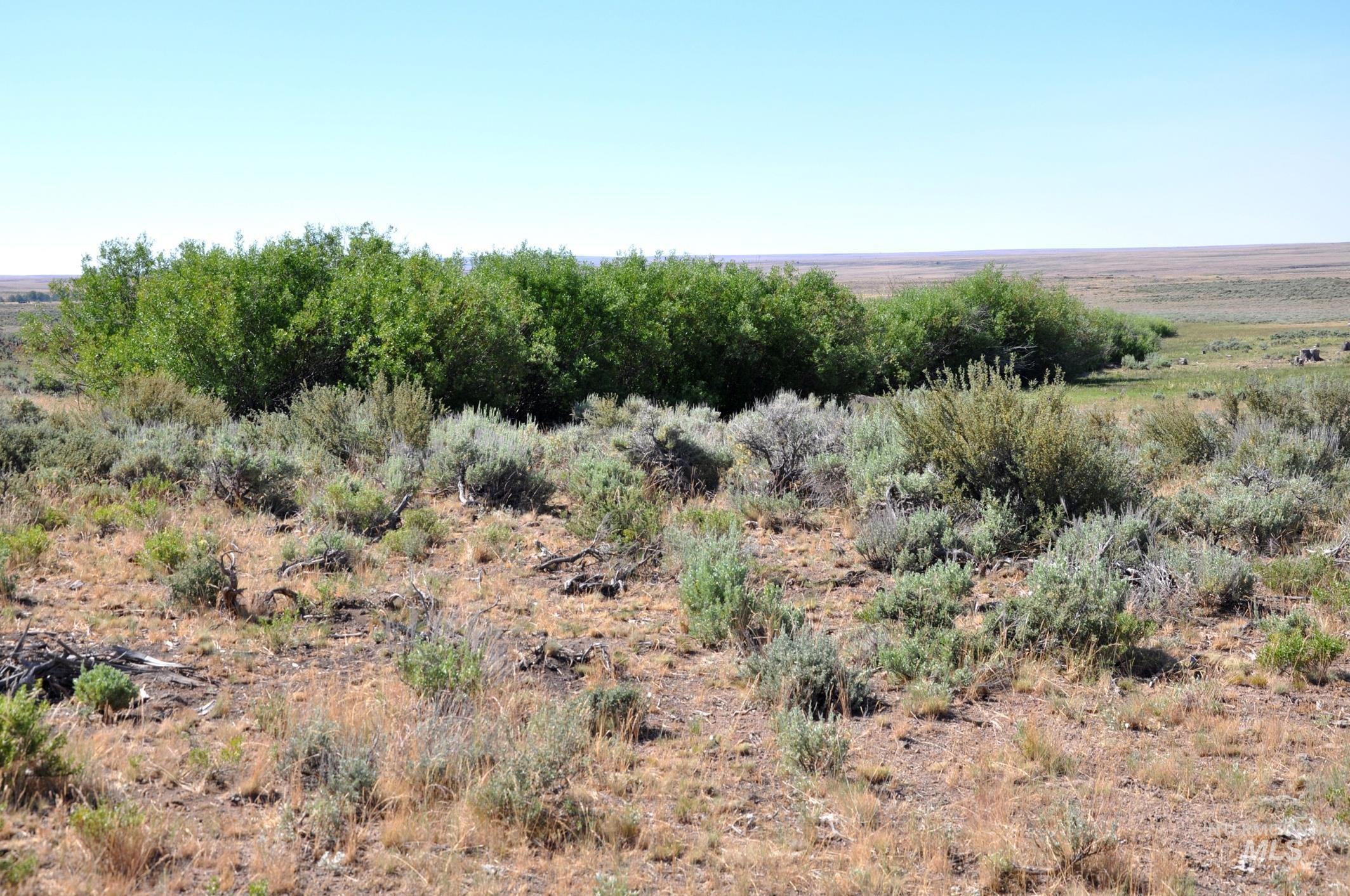 TBD Mud Flat Road, Grand View, Idaho 83624, Land For Sale, Price $599,000, 98956233