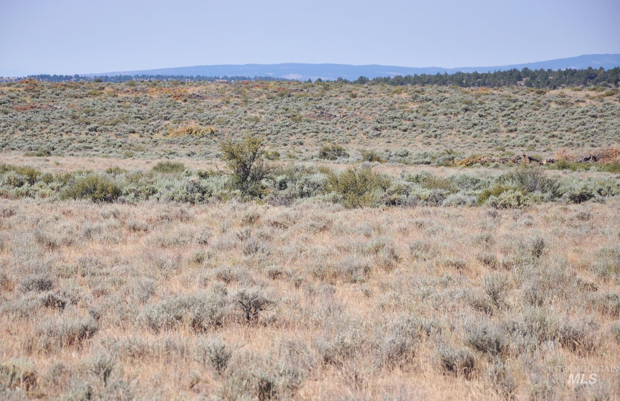 TBD Mud Flat Road, Grand View, Idaho 83624, Land For Sale, Price $599,000, 98956233