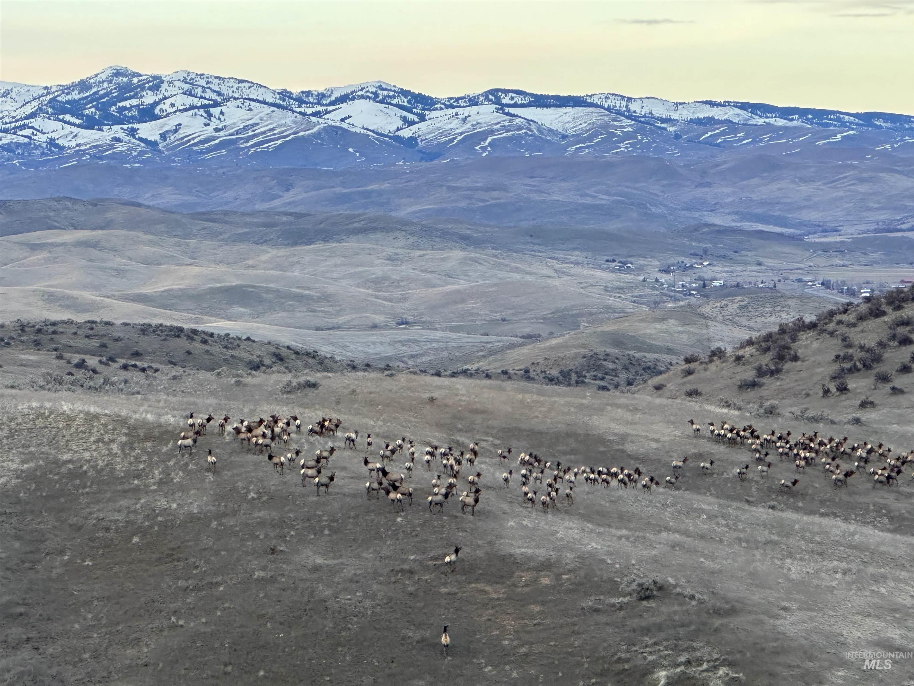 1854 Farnam Ln, Weiser, Idaho 83672, 3 Bedrooms, 2 Bathrooms, Farm & Ranch For Sale, Price $7,950,000,MLS 98956506