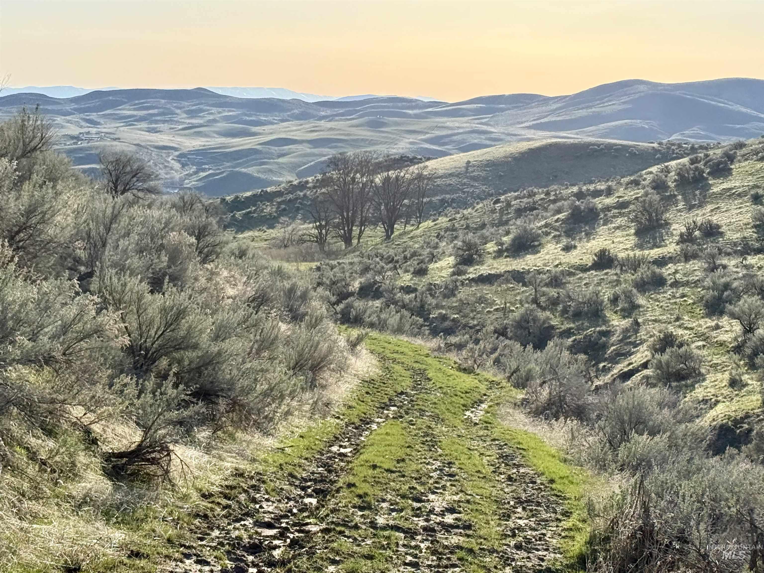 1854 Farnam Ln, Weiser, Idaho 83672, 3 Bedrooms, 2 Bathrooms, Farm & Ranch For Sale, Price $7,950,000,MLS 98956506