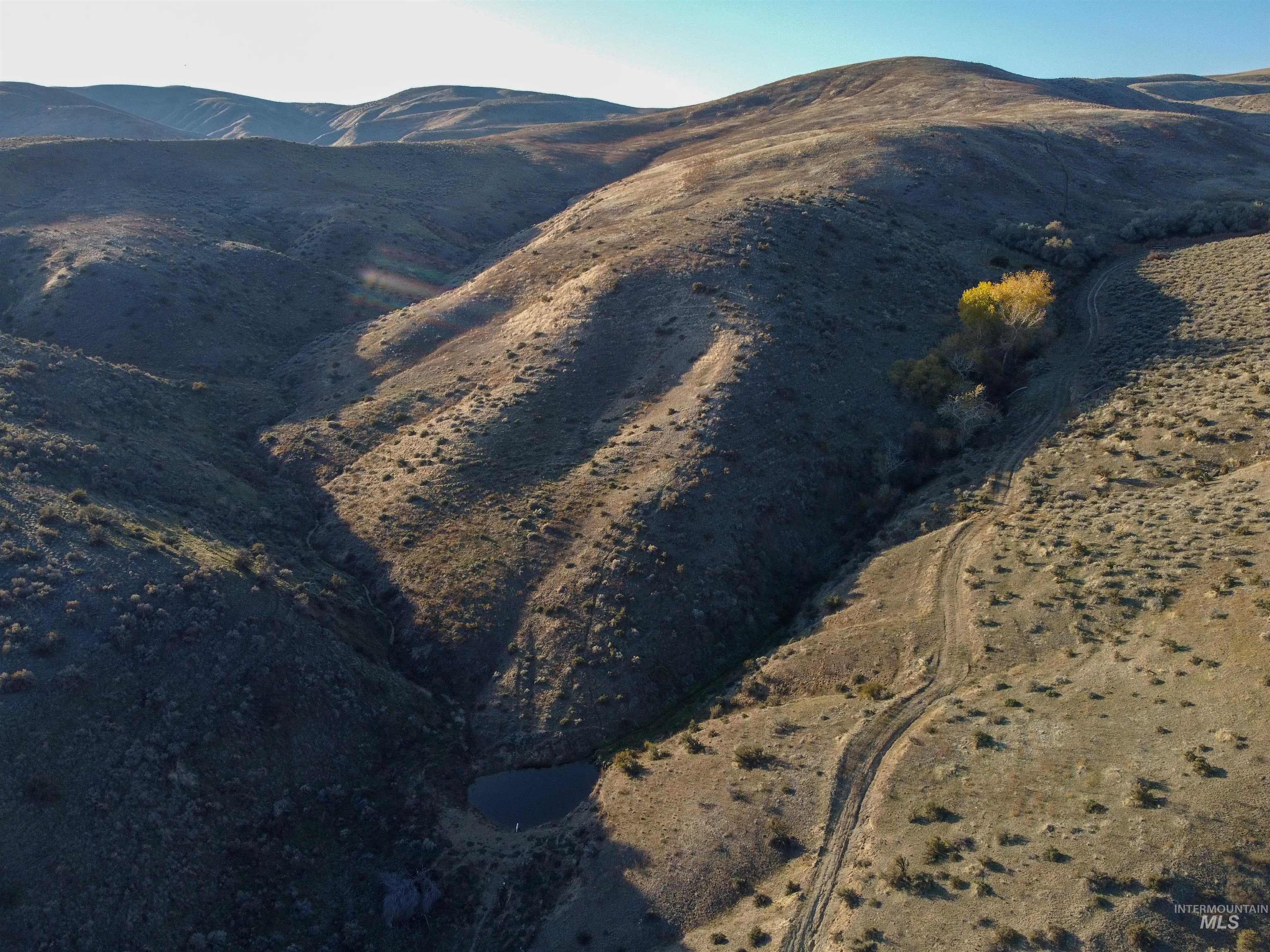 1854 Farnam Ln, Weiser, Idaho 83672, 3 Bedrooms, 2 Bathrooms, Farm & Ranch For Sale, Price $7,950,000,MLS 98956506