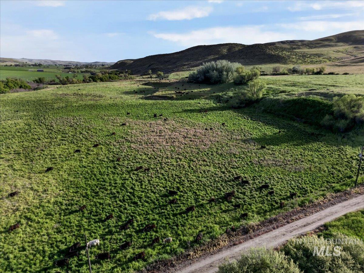 1854 Farnam Ln, Weiser, Idaho 83672, 3 Bedrooms, 2 Bathrooms, Farm & Ranch For Sale, Price $7,950,000,MLS 98956506