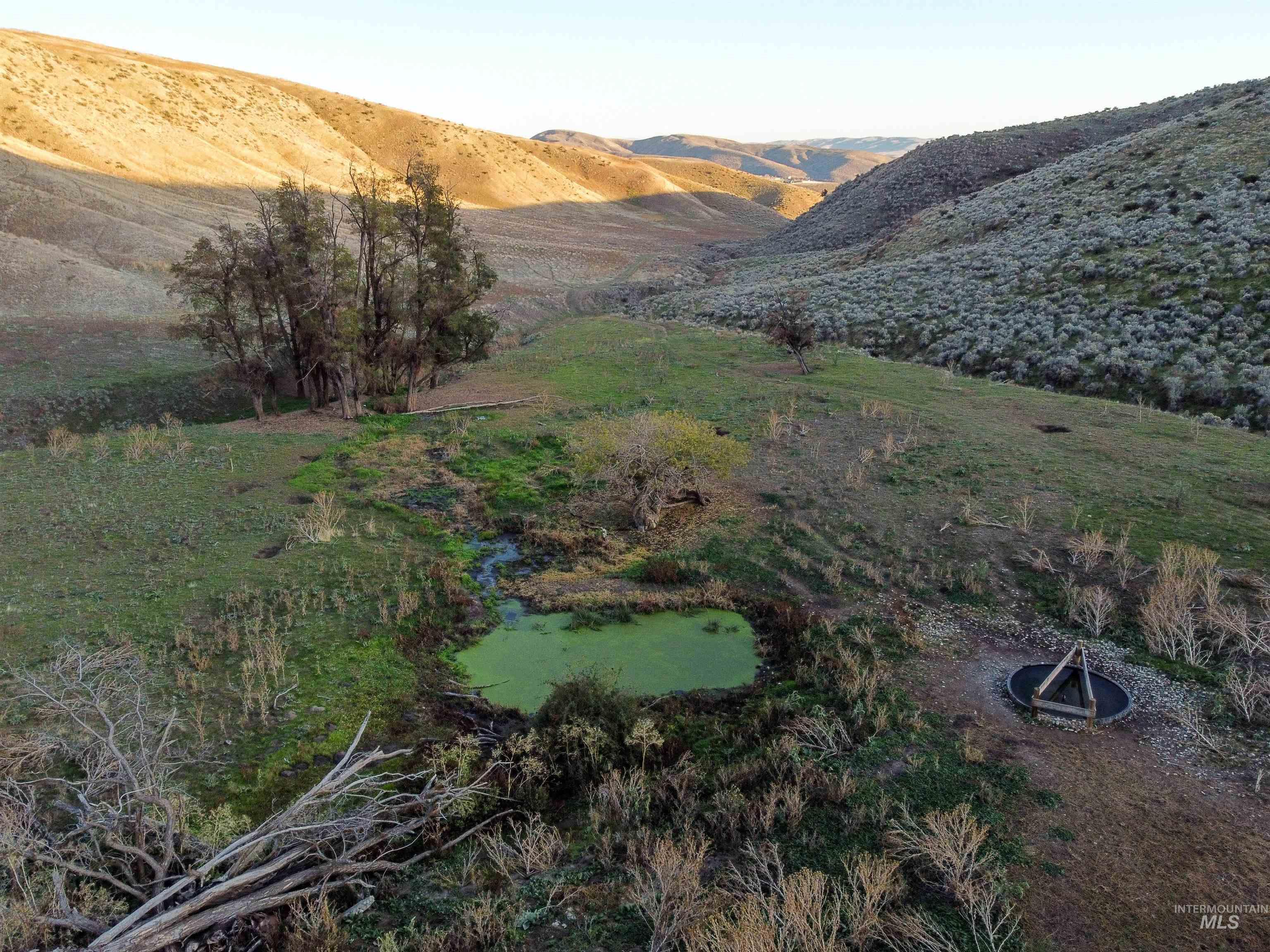 1854 Farnam Ln, Weiser, Idaho 83672, 3 Bedrooms, 2 Bathrooms, Farm & Ranch For Sale, Price $7,950,000,MLS 98956506