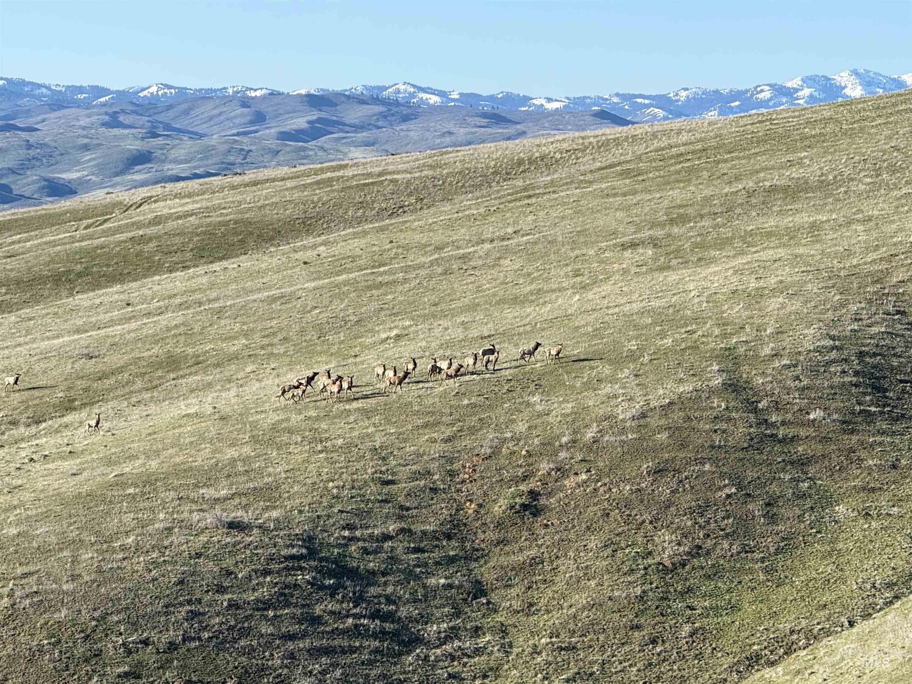 1854 Farnam Ln, Weiser, Idaho 83672, 3 Bedrooms, 2 Bathrooms, Farm & Ranch For Sale, Price $7,950,000,MLS 98956506