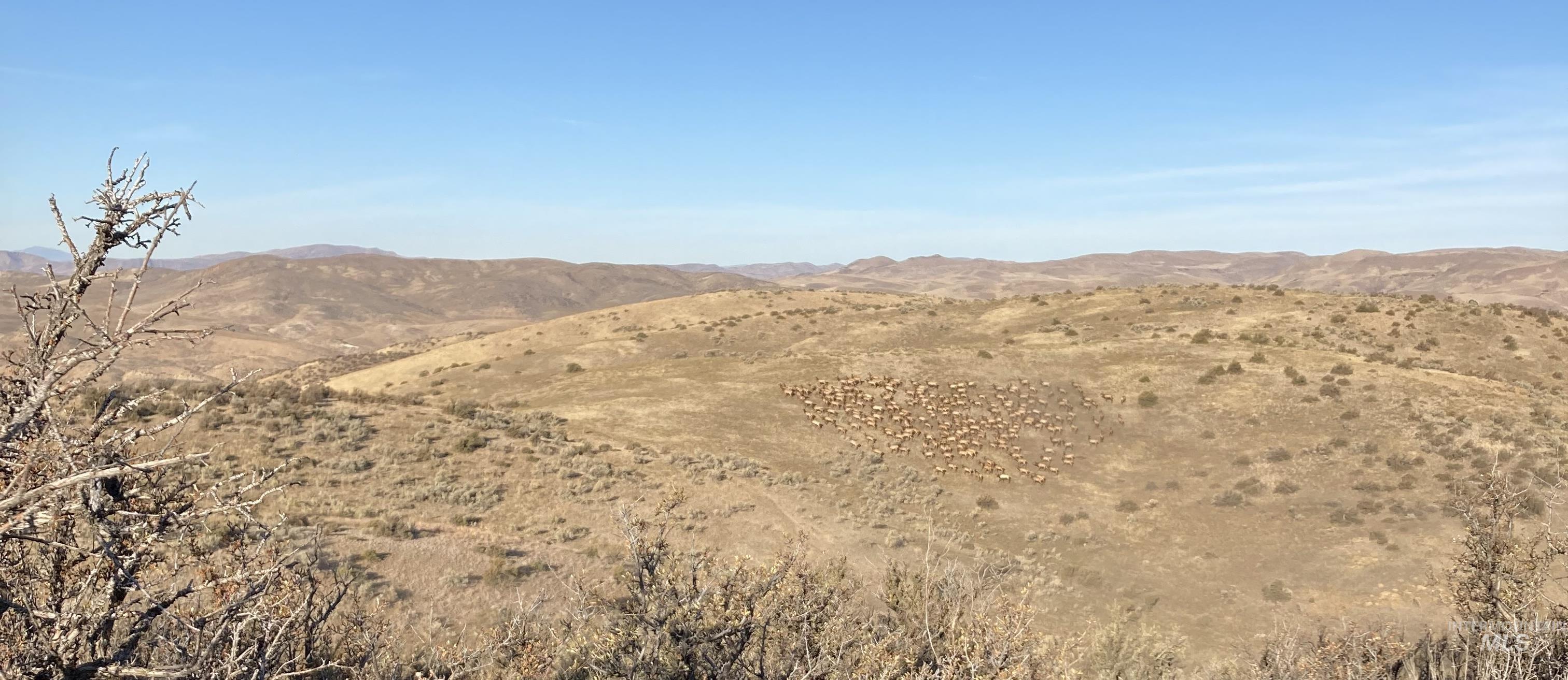 1854 Farnam Ln, Weiser, Idaho 83672, 3 Bedrooms, 2 Bathrooms, Farm & Ranch For Sale, Price $7,950,000,MLS 98956506