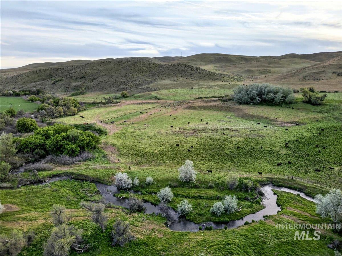 1854 Farnam Ln, Weiser, Idaho 83672, 3 Bedrooms, 2 Bathrooms, Farm & Ranch For Sale, Price $7,950,000,MLS 98956506