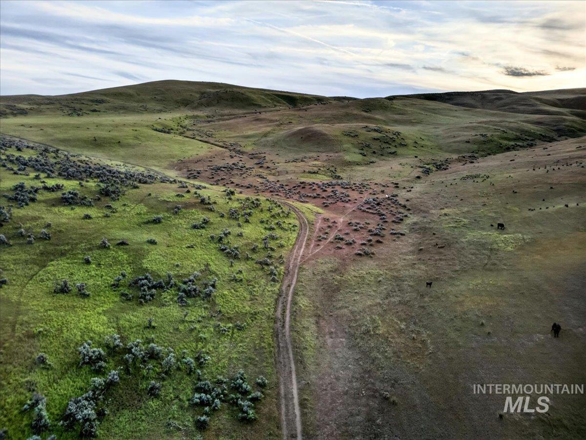 1854 Farnam Ln, Weiser, Idaho 83672, 3 Bedrooms, 2 Bathrooms, Farm & Ranch For Sale, Price $7,950,000,MLS 98956506