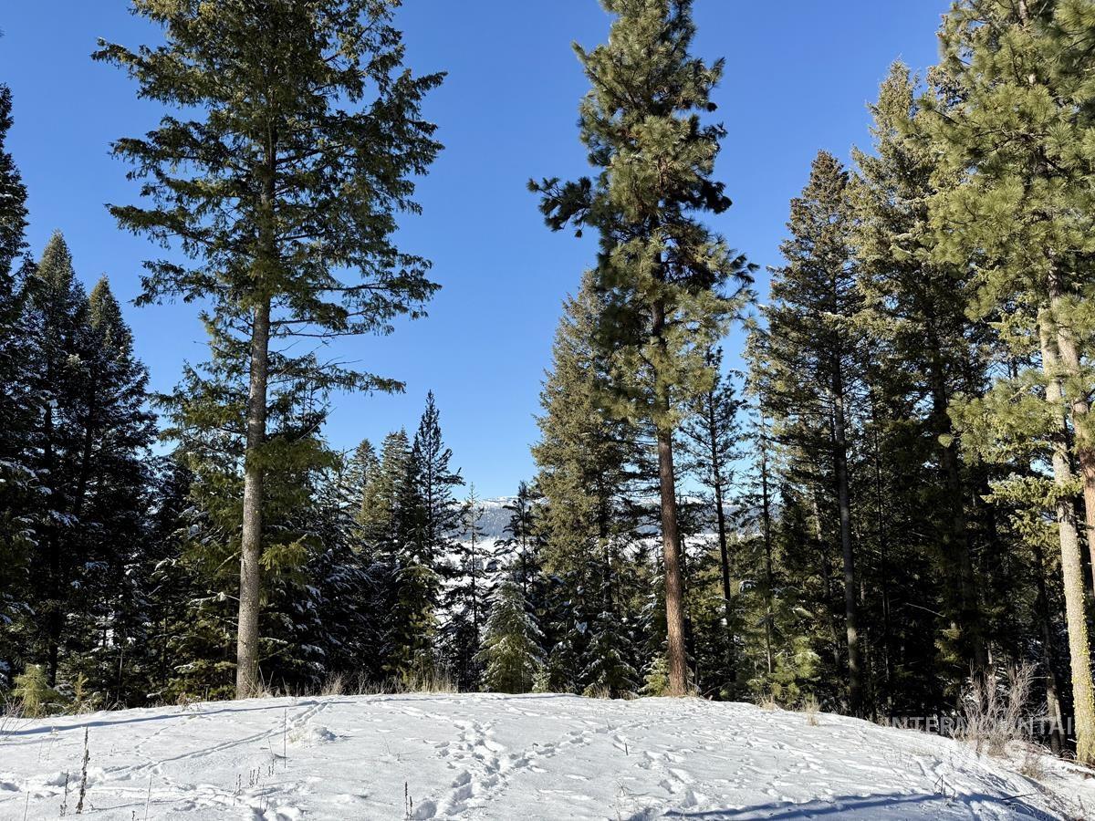 L1 B2 San Ignacio Way, Cascade, Idaho 83611, Land For Sale, Price $109,000,MLS 98956680