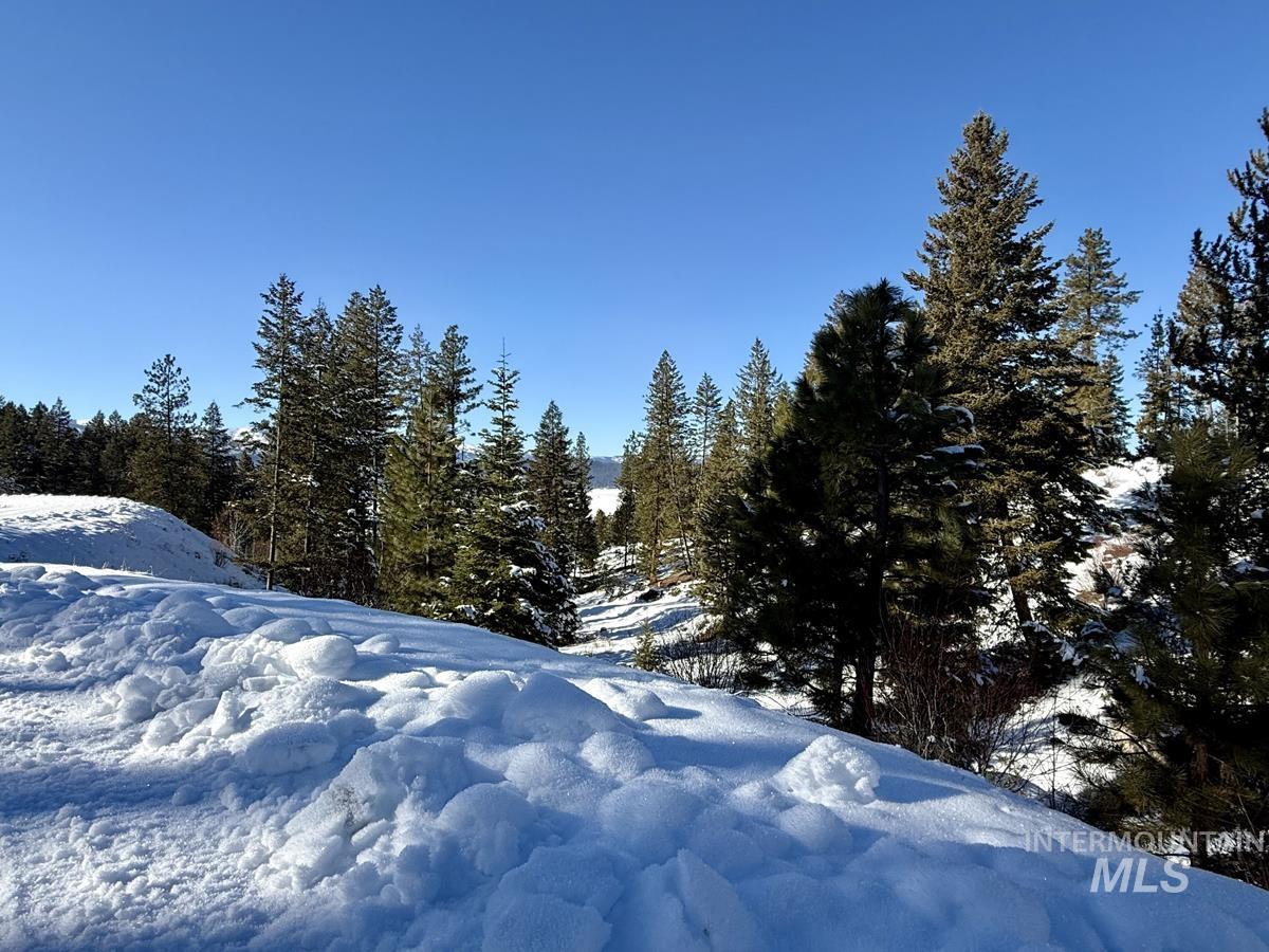 L1 B2 San Ignacio Way, Cascade, Idaho 83611, Land For Sale, Price $109,000,MLS 98956680