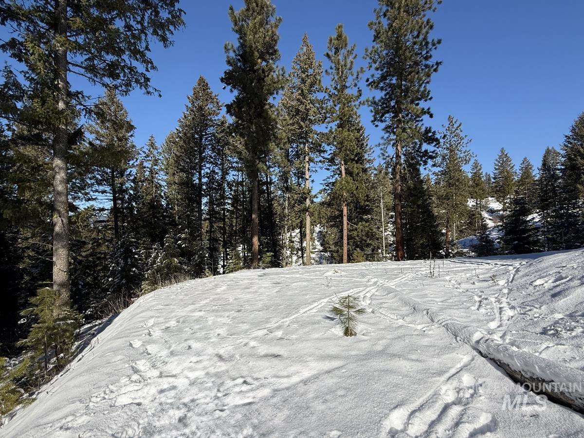 L1 B2 San Ignacio Way, Cascade, Idaho 83611, Land For Sale, Price $109,000,MLS 98956680